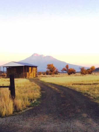 Hay Barn with Mt. Shasta in the Background